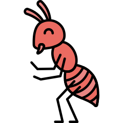 Ant